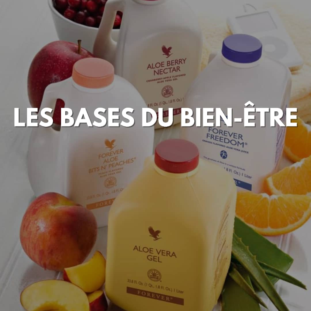 LES BASES DU BIEN-ÊTRE