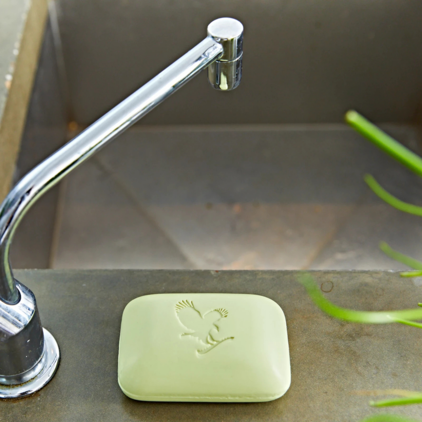 FOREVER AVOCADO FACE AND BODY SOAP