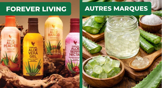 Aloe Vera Forever Living vs les autres marques : ce que personne ne te dit