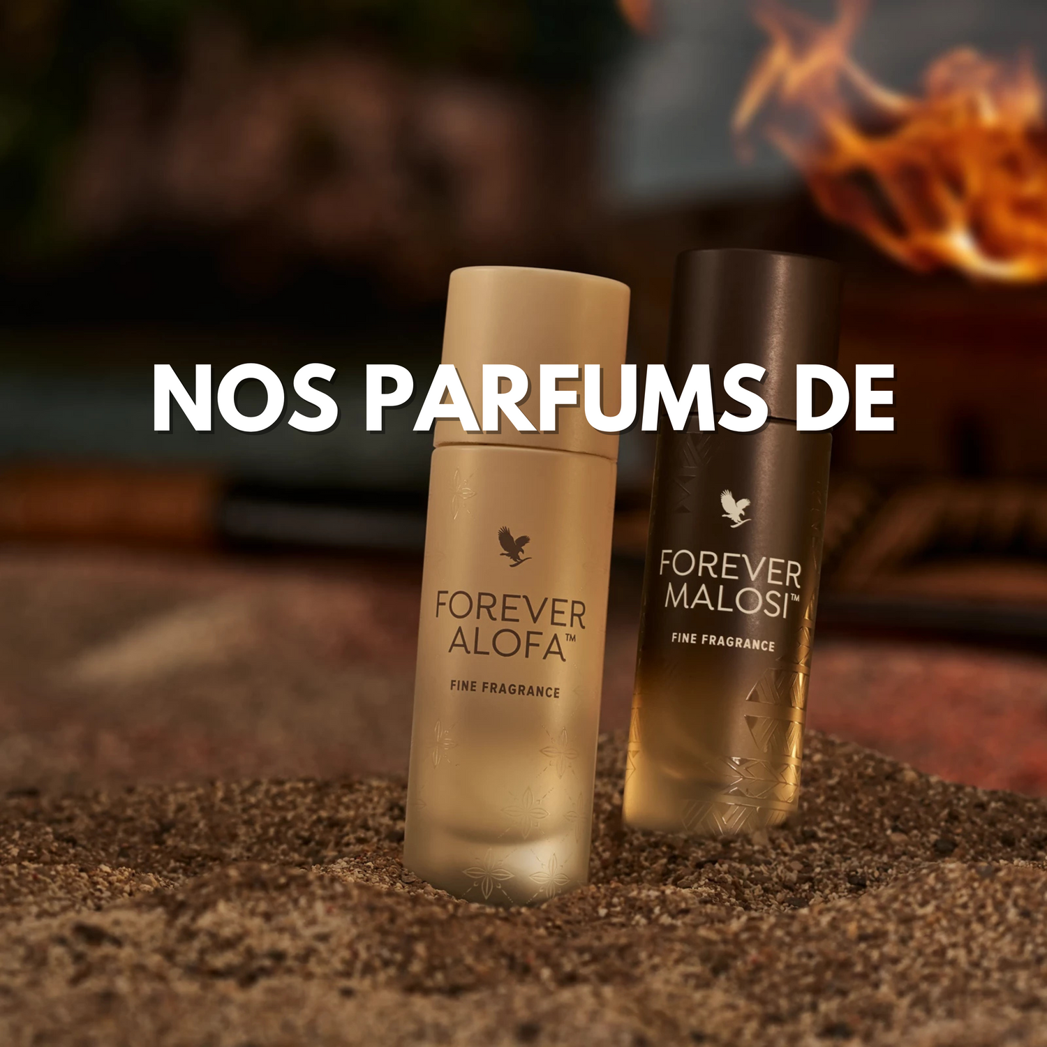 NOS PARFUMS