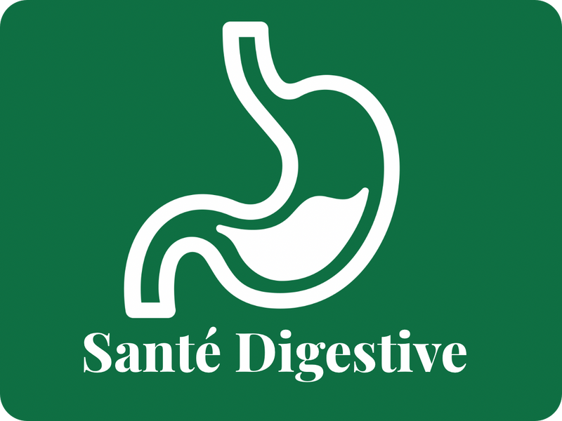 Santé Digestive