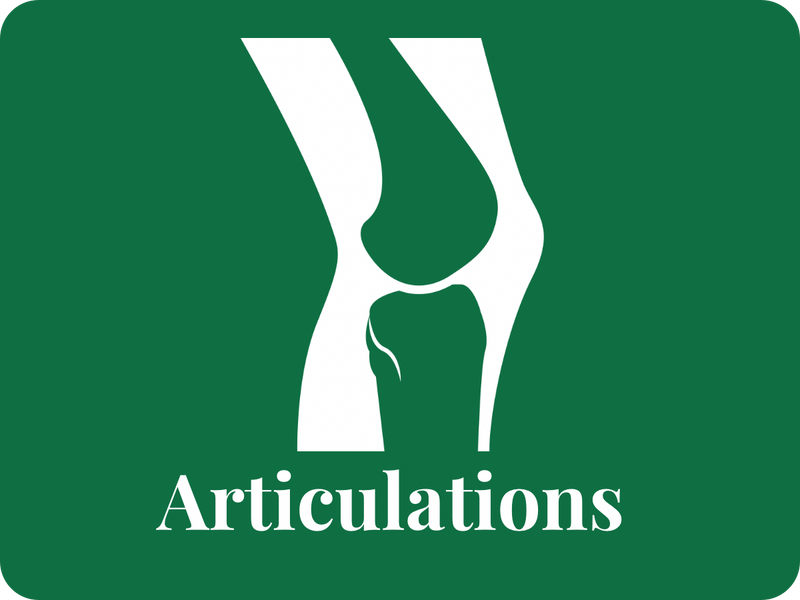Articulations