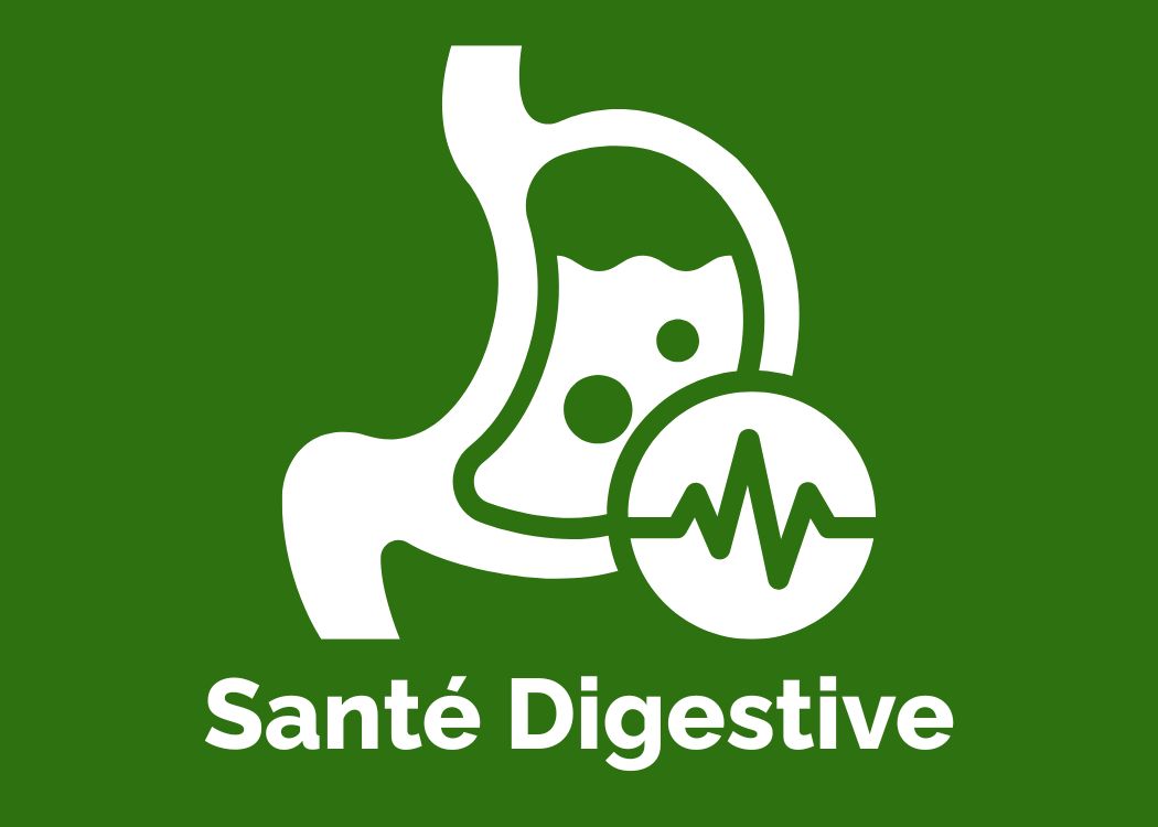 Santé Digestive