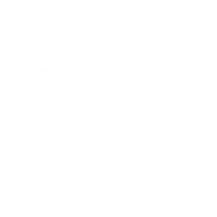 100% ALOE VERA