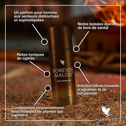 FOREVER MALOSI (Parfum pour Homme)