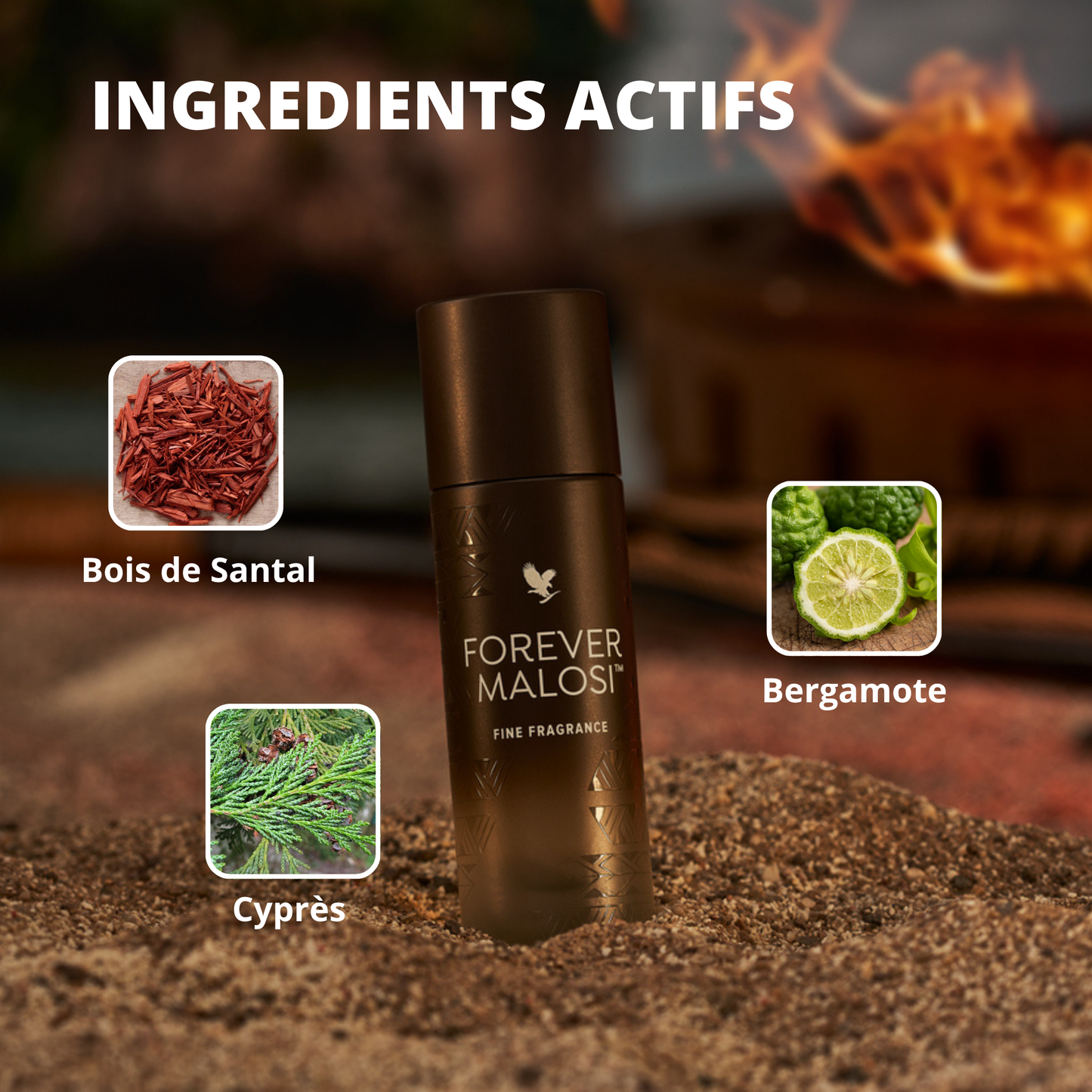 FOREVER MALOSI (Parfum pour Homme)