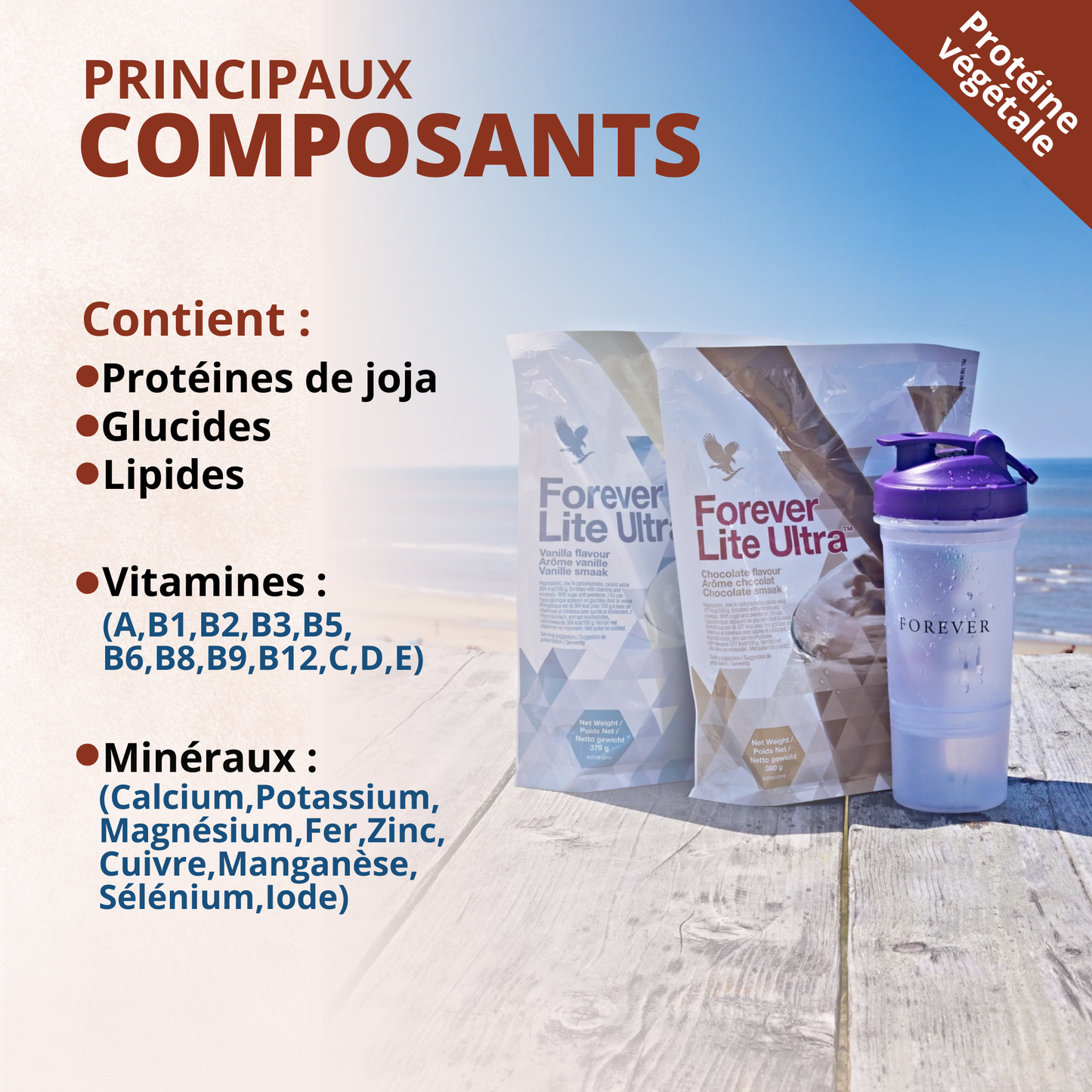 LITE ULTRA VANILLE OU CHOCOLAT FOREVER