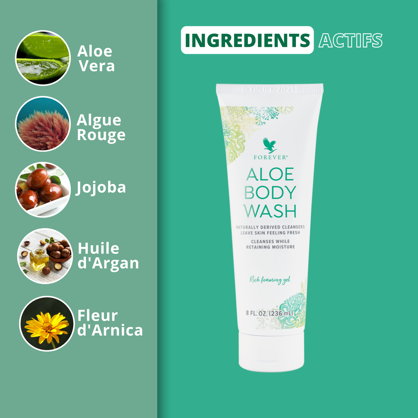 FOREVER ALOE BODY WASH
