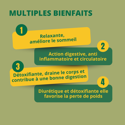 INFUSION FLEUR D'ALOES FOREVER Forever Living Products