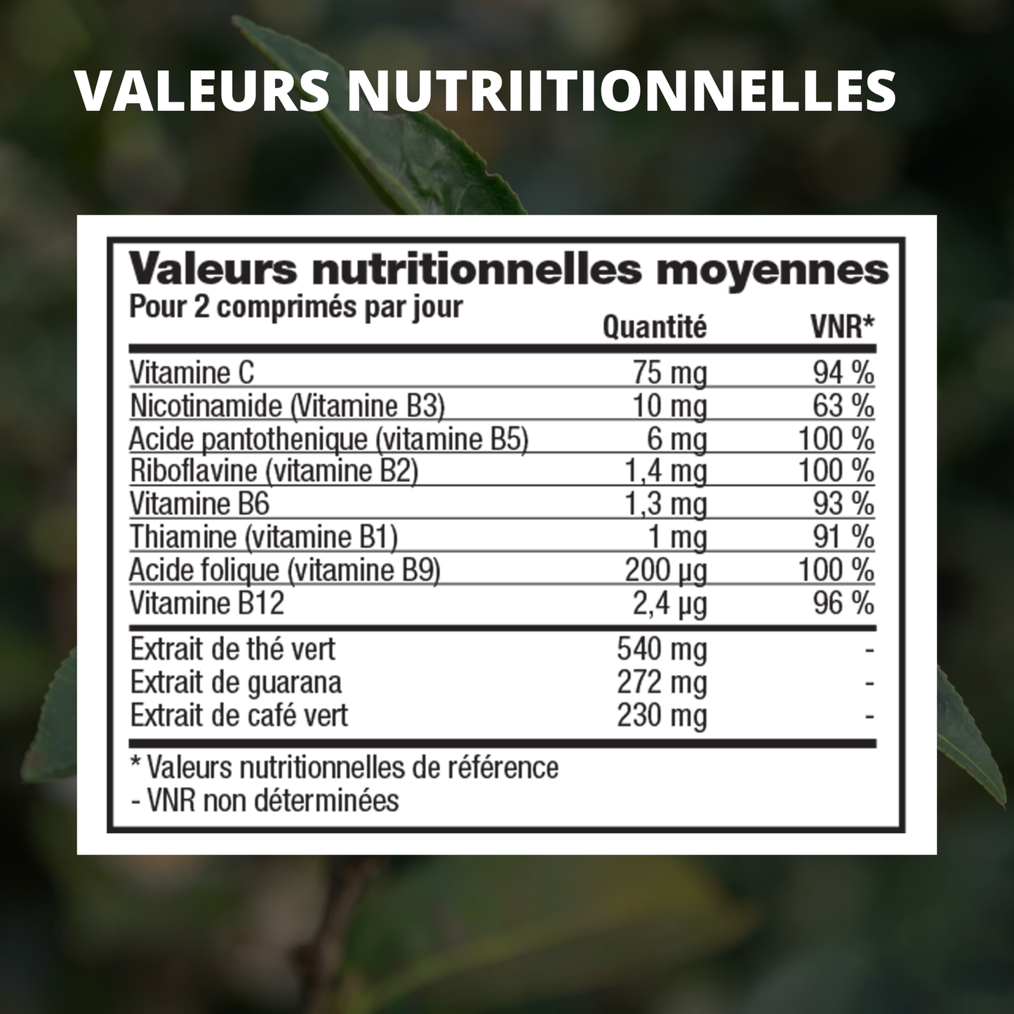 FOREVER THERM  « BRÛLEUR DE GRAISSES »