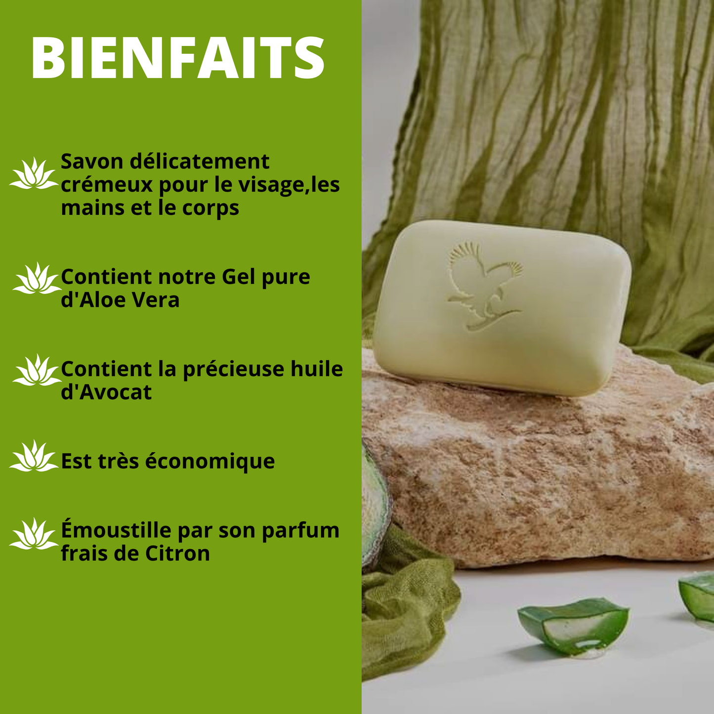 FOREVER AVOCADO FACE AND BODY SOAP