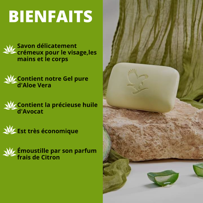 FOREVER AVOCADO FACE AND BODY SOAP