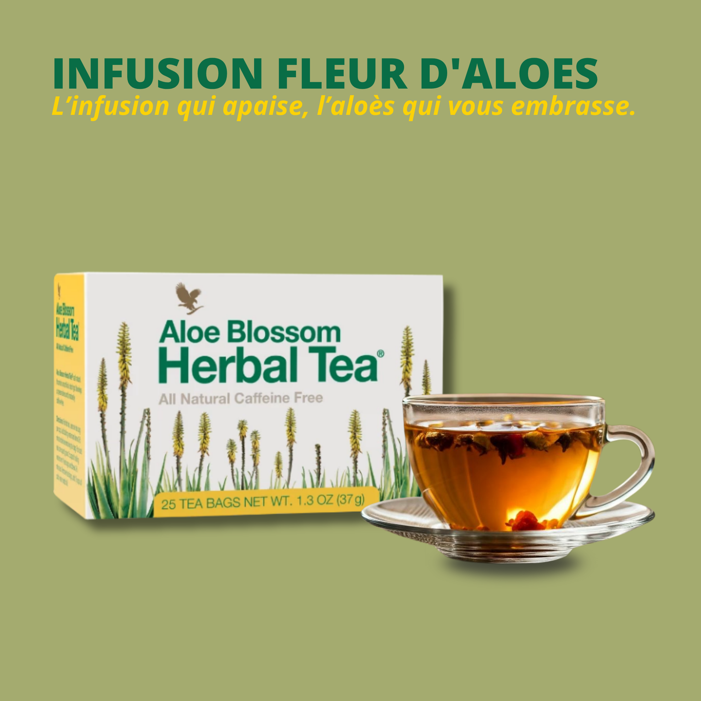 Forever Fleur de Feu - Infusion aloe vera hibiscus détox | Minceur et bien-être Forever Living