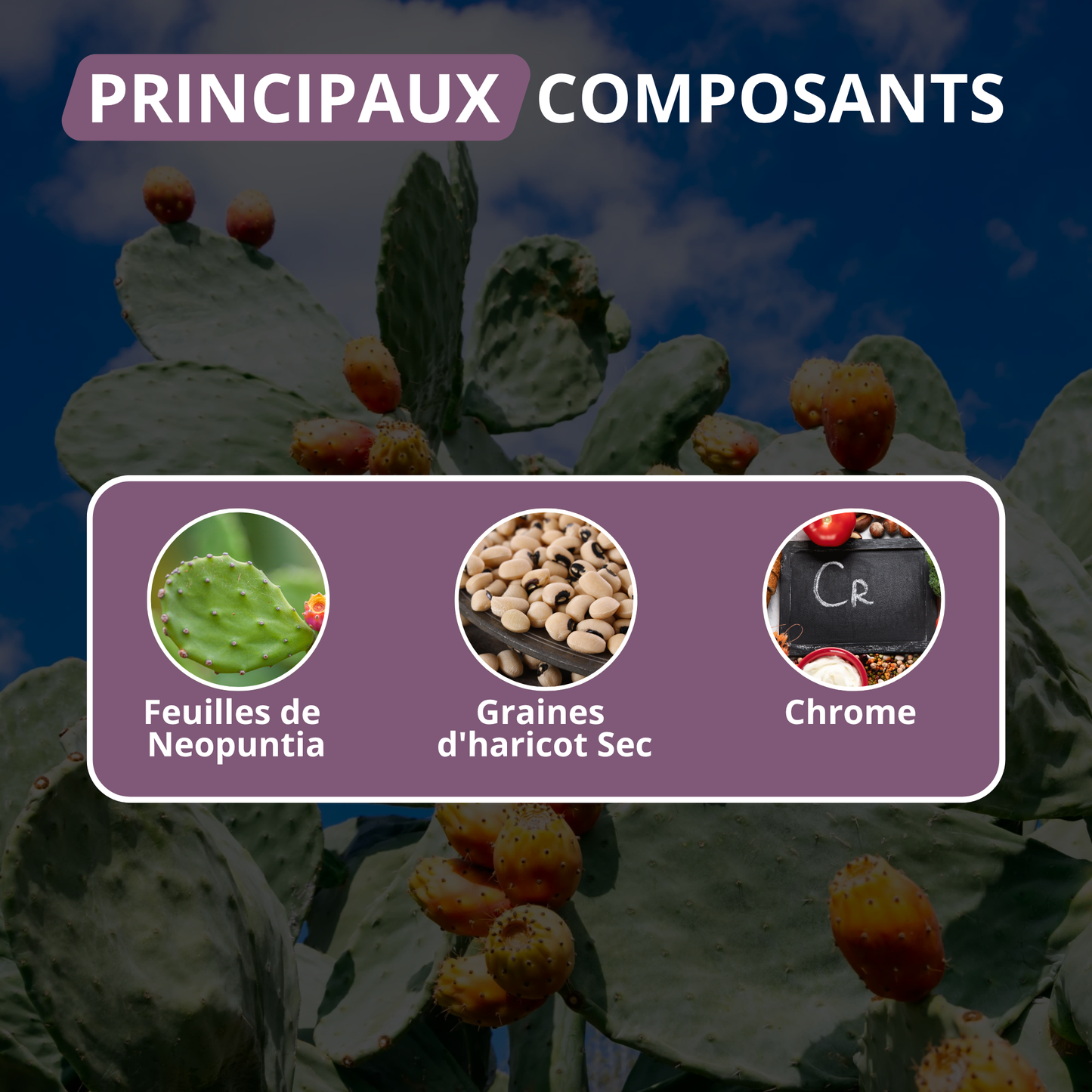 FOREVER LEAN « ANTI-GRAS »